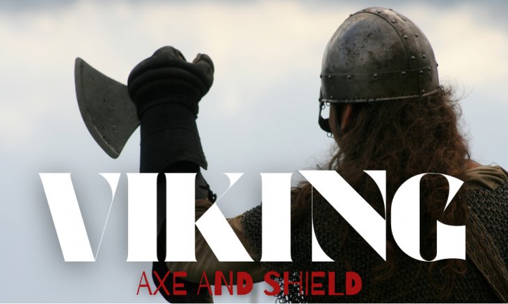VIKING axe and shield 