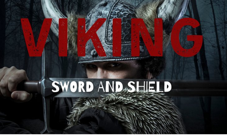 VIKING sword and shield 
