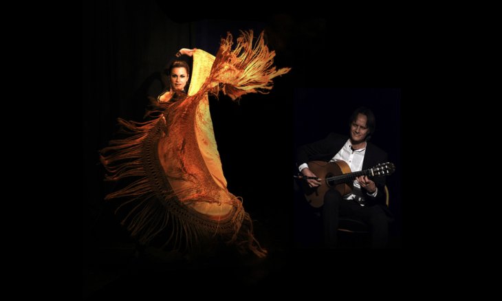 Flamencodanza TAPAC
