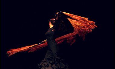 Flamenco